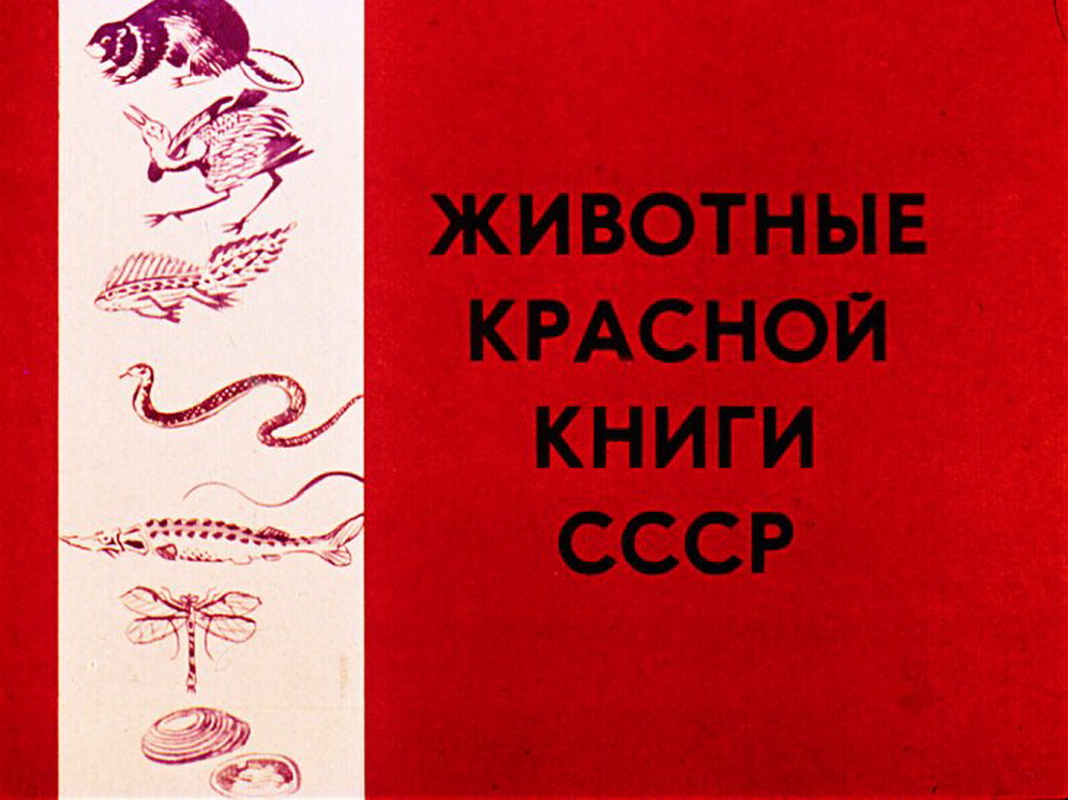 Диафильм Животные Красной книги СССР (1984)