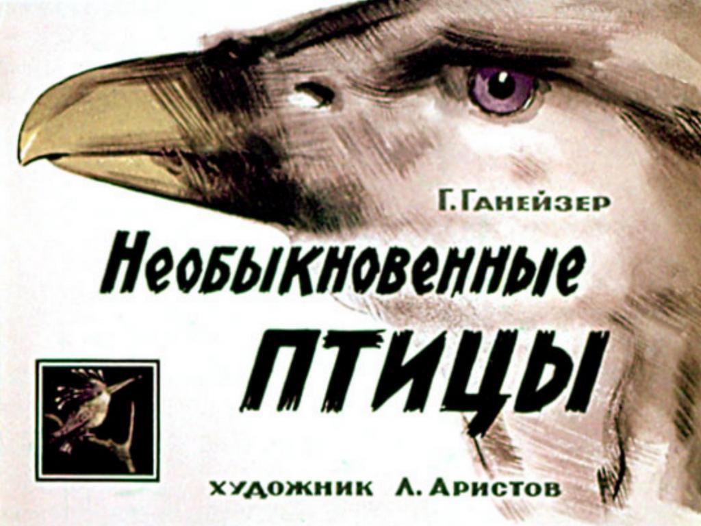 Диафильм Необыкновенные птицы (1966)