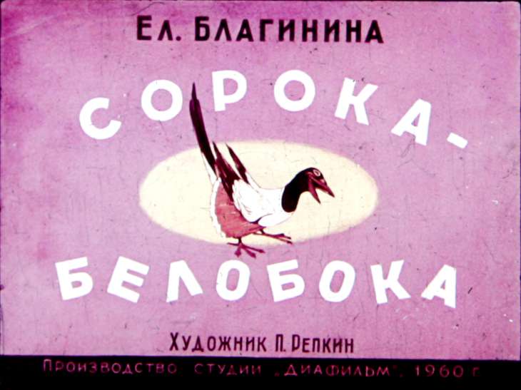 Сорока - белобока