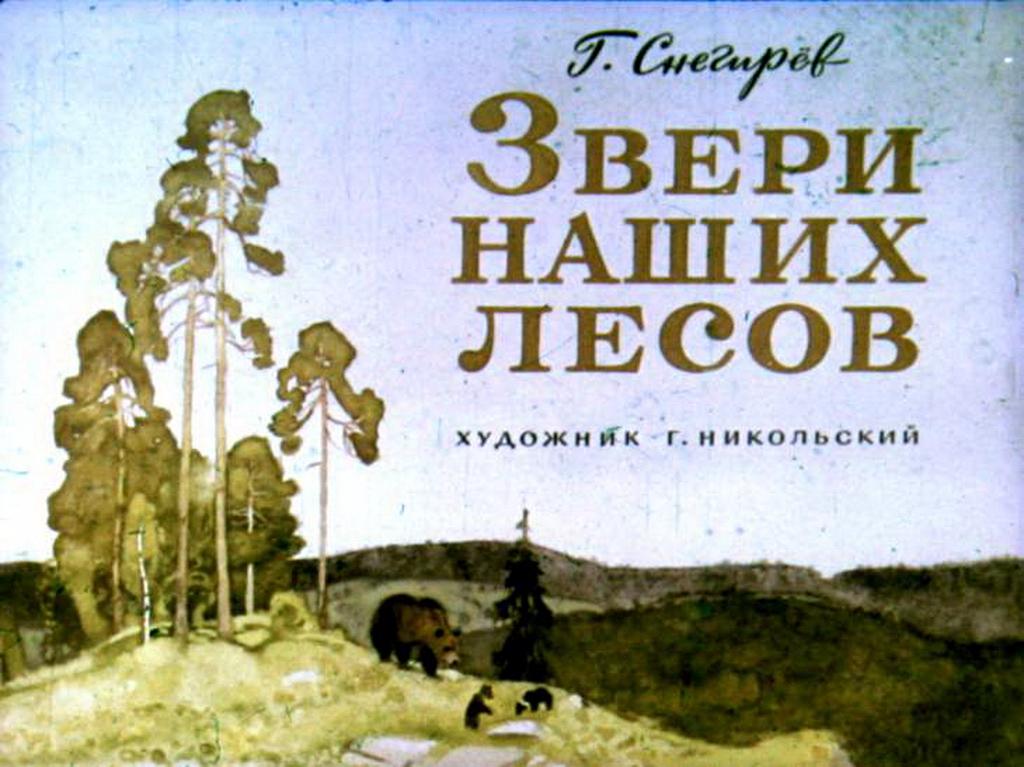 Диафильм Звери наших лесов (1973)