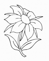 Рисунки «Цветик семицветик» карандашом (17 фото)