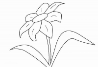 Раскраски цветик семицветик