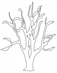 Раскраска Дерево без листьев